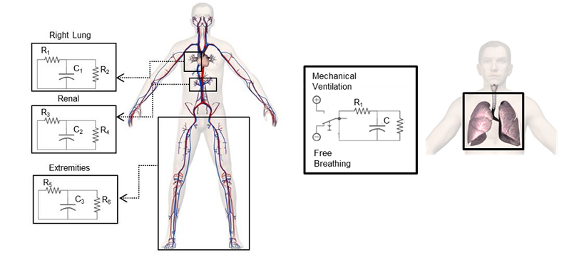 CircuitLumpExample.png