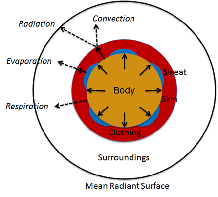 Environment2DModel.png